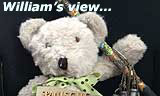 Hello, my name is William Bear. I was sitting quietly at home when I overheard my Wicked Stepmother and my Daddy talking about my Uncles Geoff and Bruce forthcoming holiday. “Well, I would not want to go on a river cruise!” said WSM. “But they will visit Salzburg and see all the Sound of Music sites. And there is a free bar”, said my Daddy. My ears pricked up. Free bar??!!  Sound of Music??!! Why don’t my two do this sort of thing? I shall report them to the RSPCB! I learned that G&amp;B were off the next day. Yay for Thameslink and a direct connection. I waited outside their door and when they were taking their cases to the taxi, I managed to slip into their hand luggage. The flight to Budapest was not comfortable. Stuffed in a bag in an overhead locker. But needs must. But three hours later, I found myself in a cabin on the ship. I explored. All the essentials were there – a mini-bar, a bathroom, a mini-bar, a comfy spot for me to sleep and a mini-bar. The restaurant and bar was a short walk away. I hopped onto a bar stool. “What would you like?” asked the barman. “A large brandy”, I replied. I thought G&amp;B would be pleased to treat me. “No charge” said the barman. “Let me know if you want another.” My word, this is my sort of holiday! I must try to get WSM to do this in future.